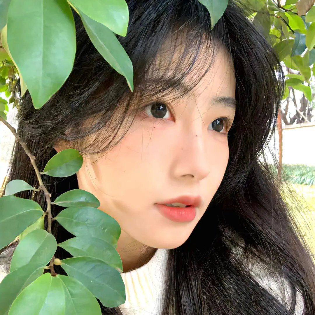 另一个故乡